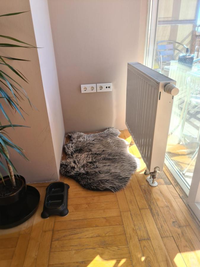 Apartman *Joy* Osijek Luaran gambar